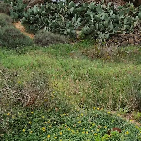 Ca.marcela. 200 Metros Del Mar.