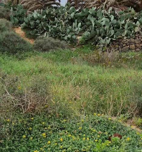 Ca.marcela. 200 Metros Del Mar.