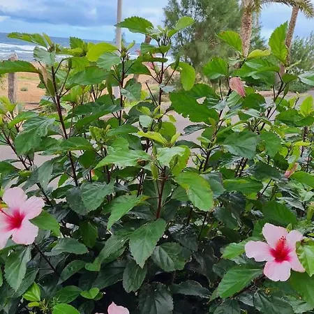 Ca.marcela. 200 Metros Del Mar.